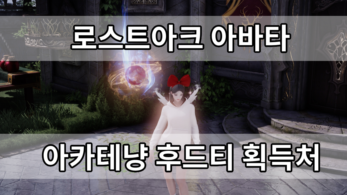  로스트아크 아카테냥 후드티 얻는 방법(feat. 염색코드)