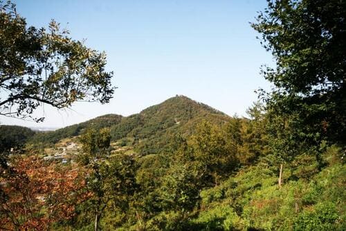 아미산