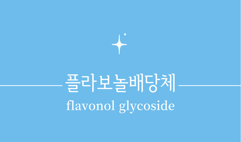 '플라보놀배당체(flavonol glycoside)'