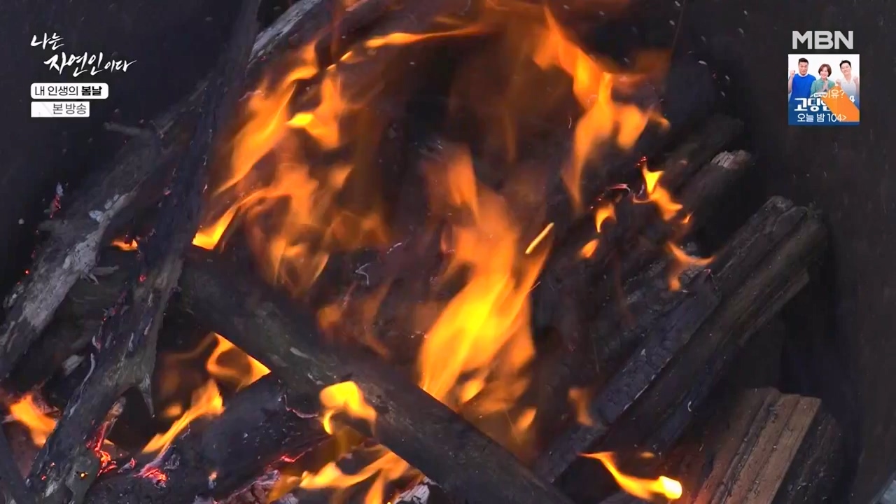 나는 자연인이다.E599.240328p-NEXT.mp4_20240328_195839.617.jpg