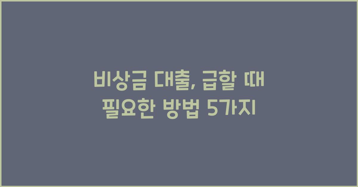 비상금 대출