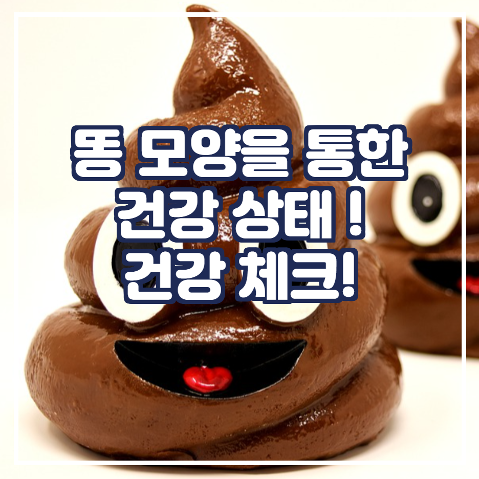  Nice PaPa와 세상의 꿀팁[똥 모양을 통한 건강 상태 ! 건강 체크!]