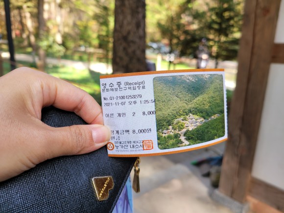 네소사 단풍 아이와 가족들이 w. 고사포 해수욕장 전북의 볼거리, 부안 54