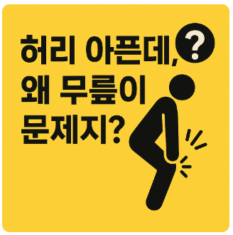 허리디스크