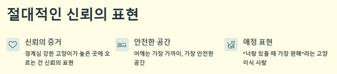 절대적인 신뢰의 표현 예시