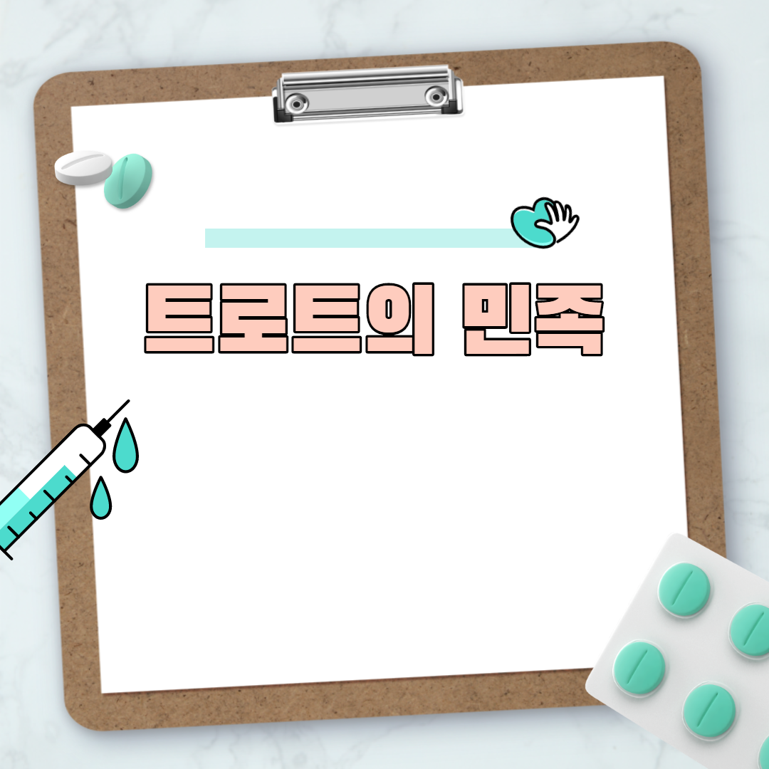  트로트의 민족