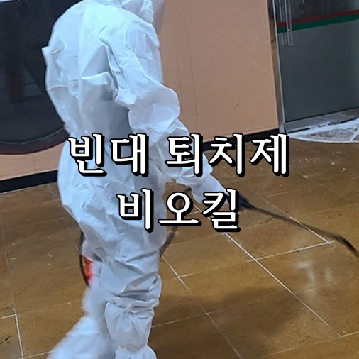 빈대 퇴치제 비오킬 사용 사진