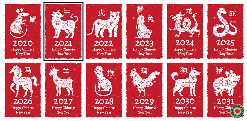  New Year 새해카드 - 2021 신축년