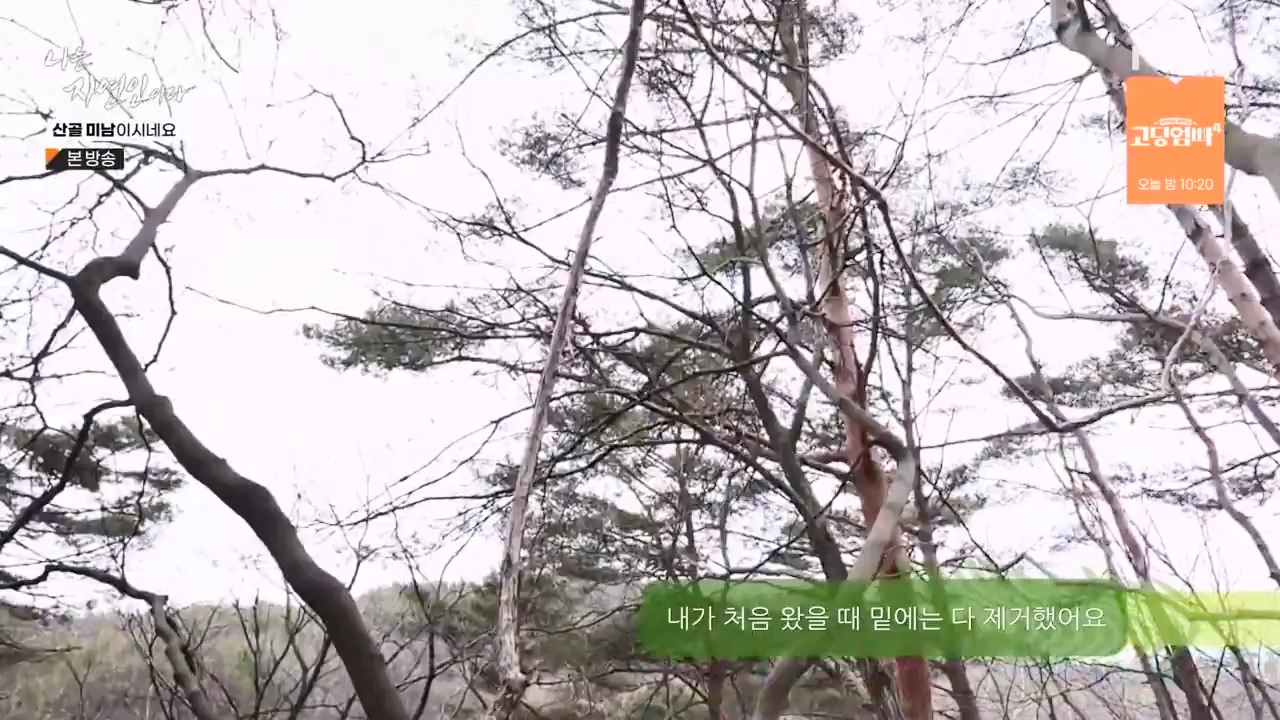 나는 자연인이다.E592.240208p-NEXT.mp4_20240208_193237.722.jpg