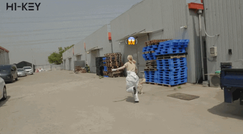 img.gif