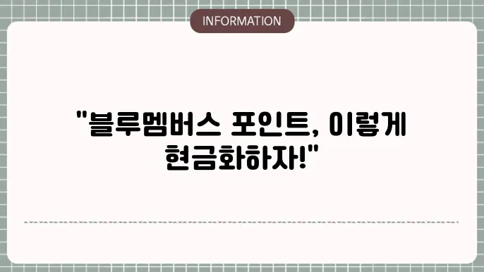 현대 블루멤버스 포인트몰 사용처 전환 적립 현금화 방법