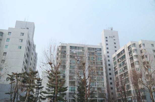  노원구에 거세지는 재건축 열기 [하계 장미아파트 예안진 통과]