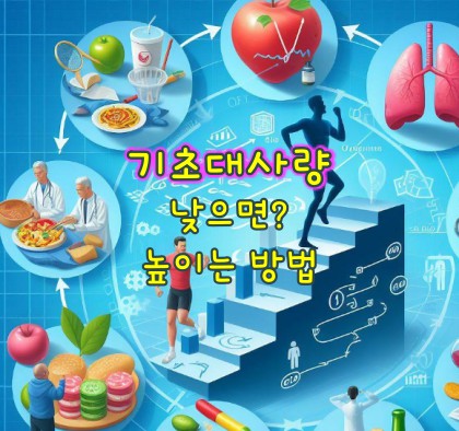 기초대사량-높이는-방법
