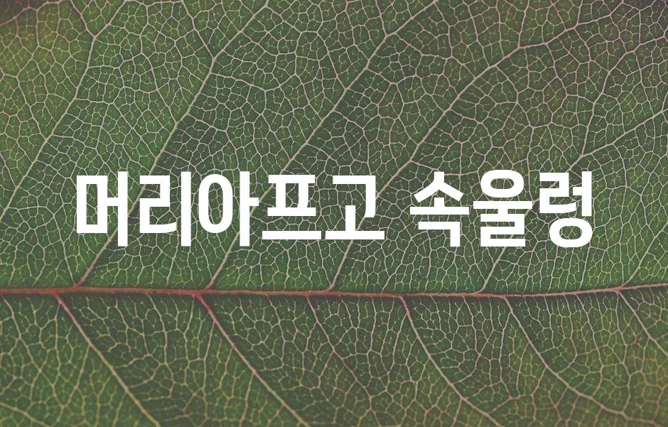 샘플 (43)