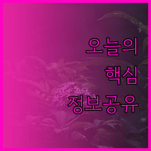이집트 피라미드 뷰 호텔, 놓칠 수 