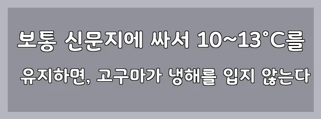  보통 신문지에 싸서 10~13°C를 유지하면, 고구마가 냉해를 입지 않는다