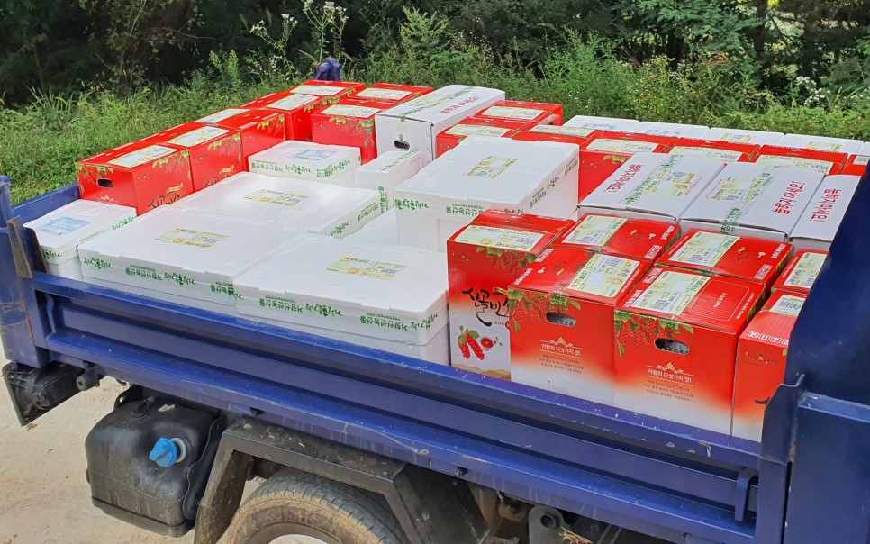 오미자의 오미자(五味子)가 남긴 2021년 13