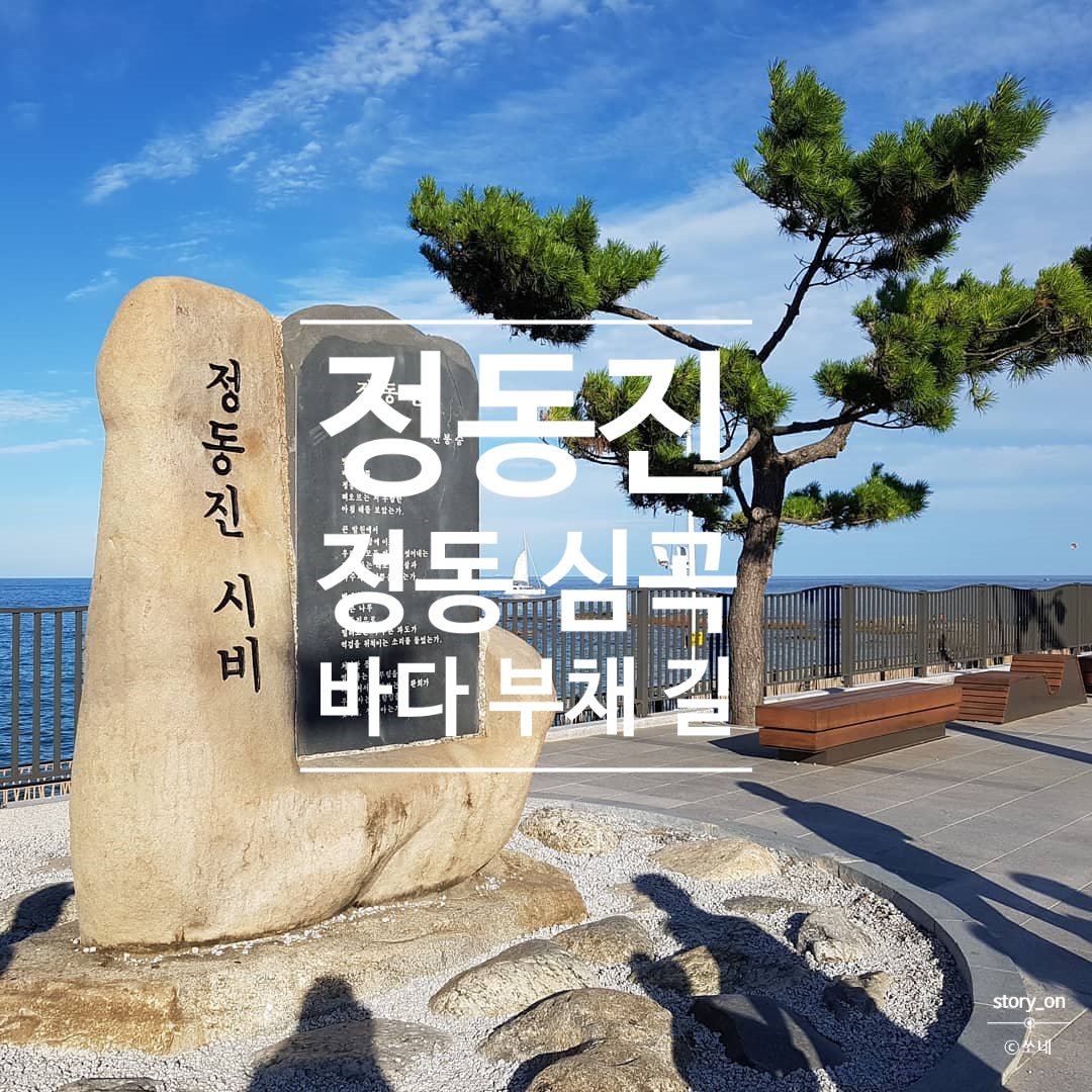  해돋이 명소 정동진 !강원도 여행 가볼만한 곳 정동 심곡 바다 부채 길