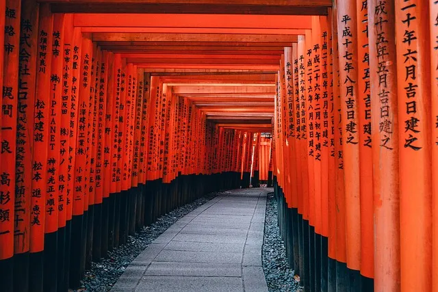 일본 북해도 홋카이도 삿포로 5월 여행 날씨 옷차림 필수품_8