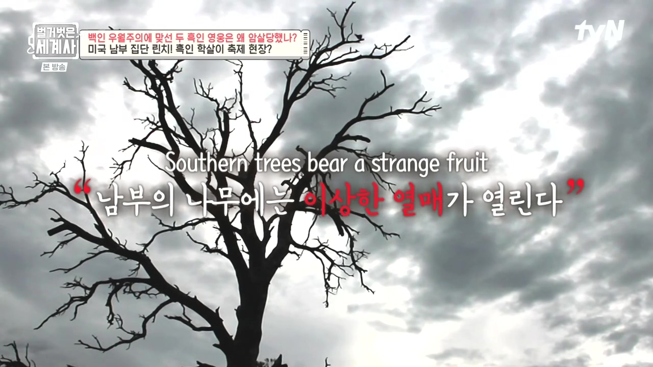 벌거벗은 세계사.E118.230927p-NEXT.mp4_20240507_201733.259.jpg