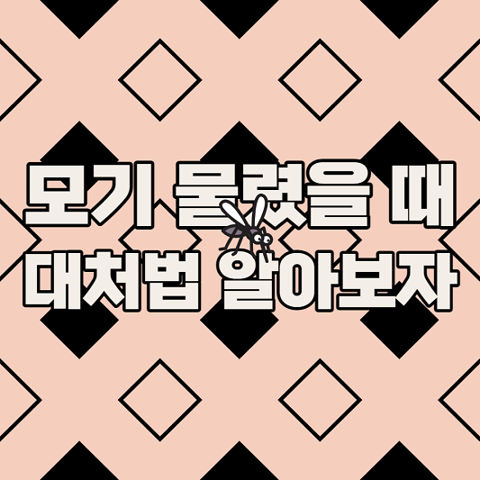  모기 물렸을 때 대처법, 가려움 줄이는 방법 무엇이 있을까?