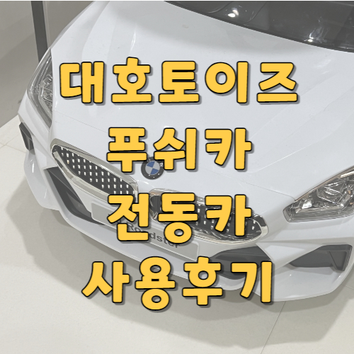 대호토이즈푸쉬카