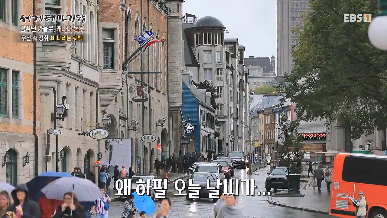 세상의모든기행꿈꾸던 가을로 캐나다 동부-다시 올 이유, 단풍국.mp4_20231127_205042.376.jpg