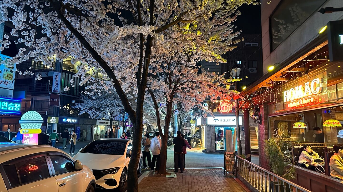 국내 여행지 추천