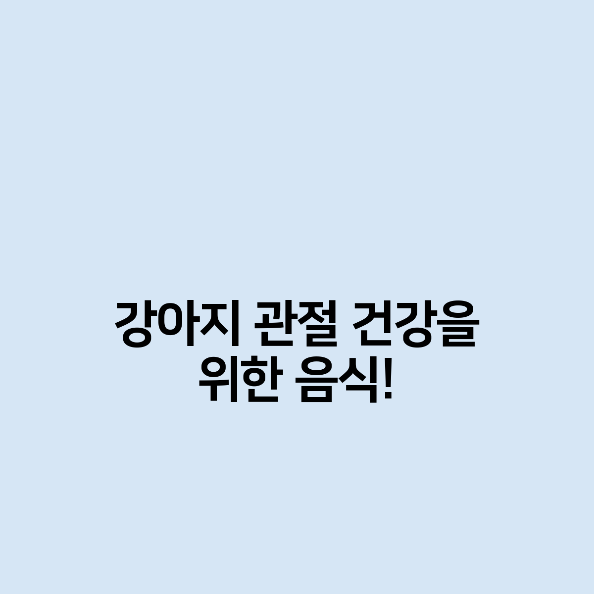 강아지&#44; 관절&#44; 음식