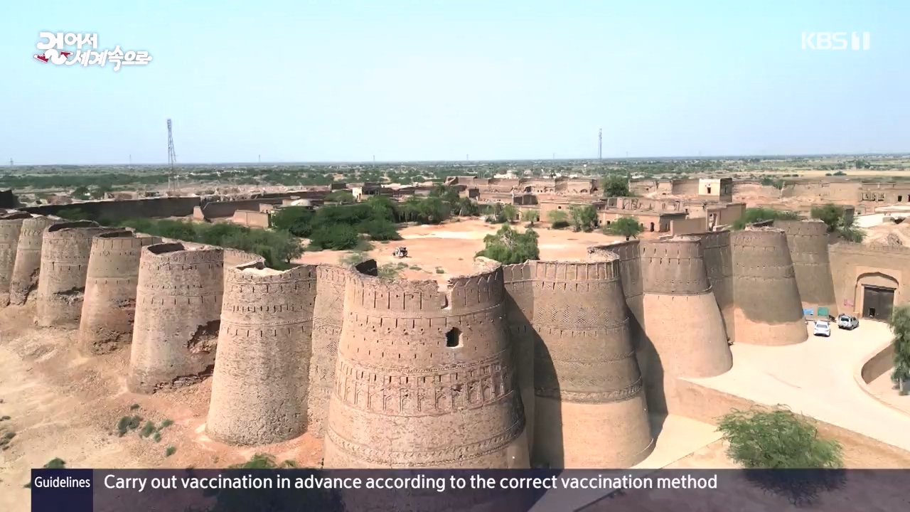 걸어서 세계속으로.E817.231112p-NEXT.mp4_20231114_213231.976.jpg