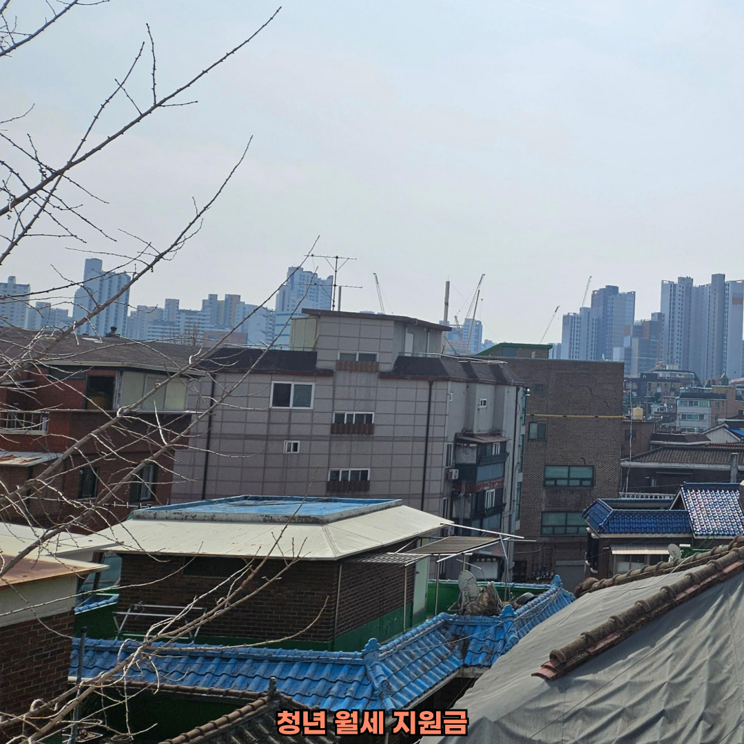 월세지원금