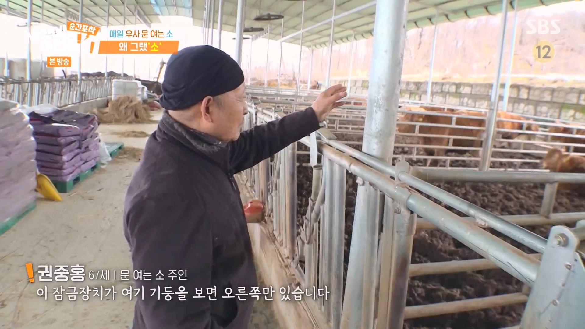 순간포착 세상에 이런일이.E1265.240217p-NEXT.mp4_20240218_151700.509.jpg