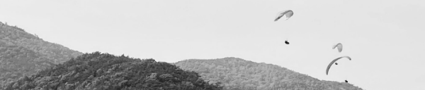 독특한 풍경
