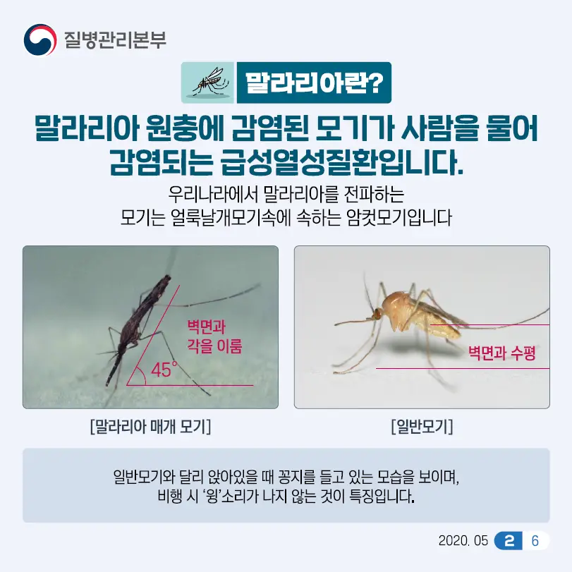 말라리아