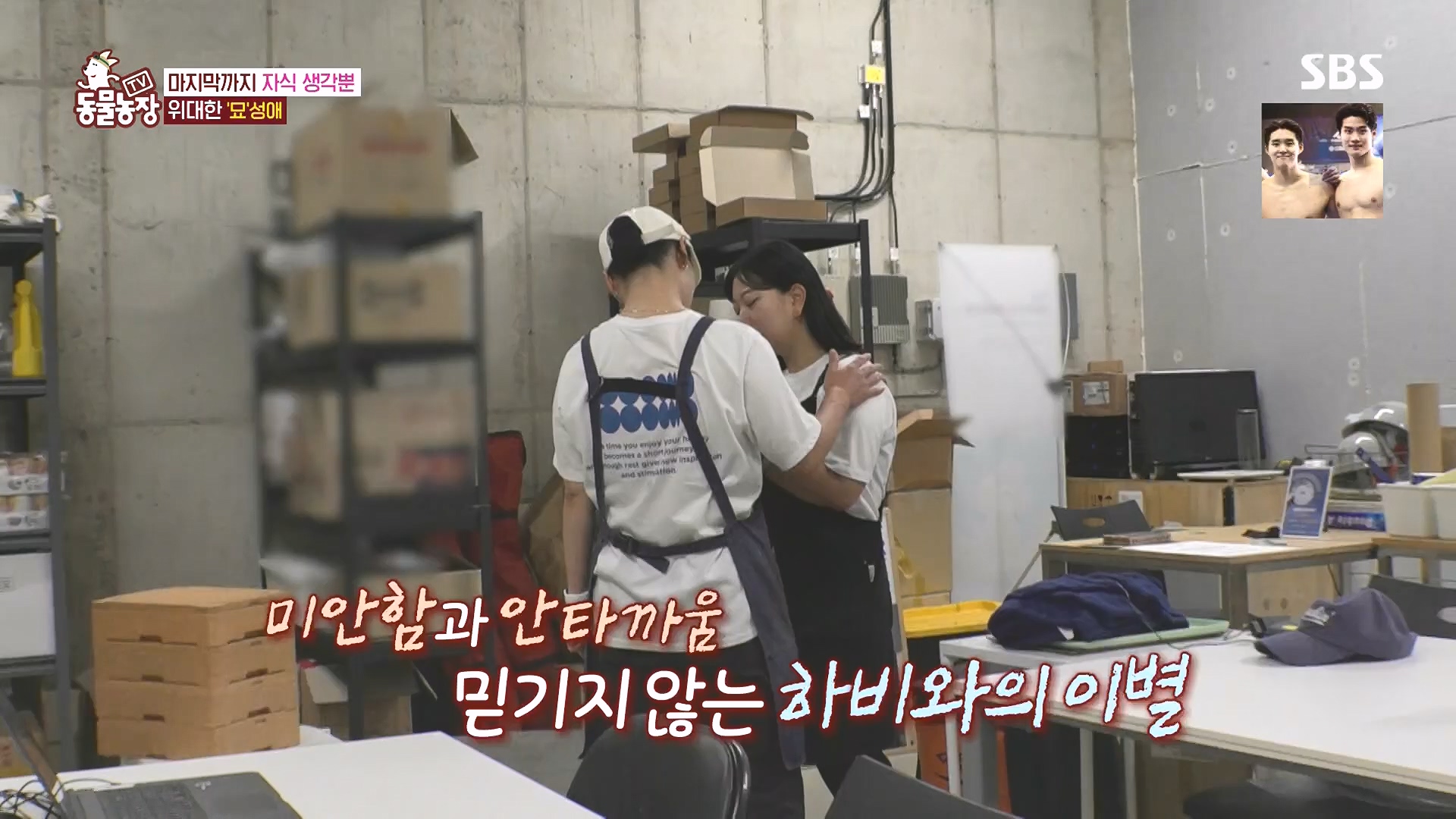 TV 동물농장.E1182.240728p.H264-F1RST.mp4_20240728_152526.346.jpg