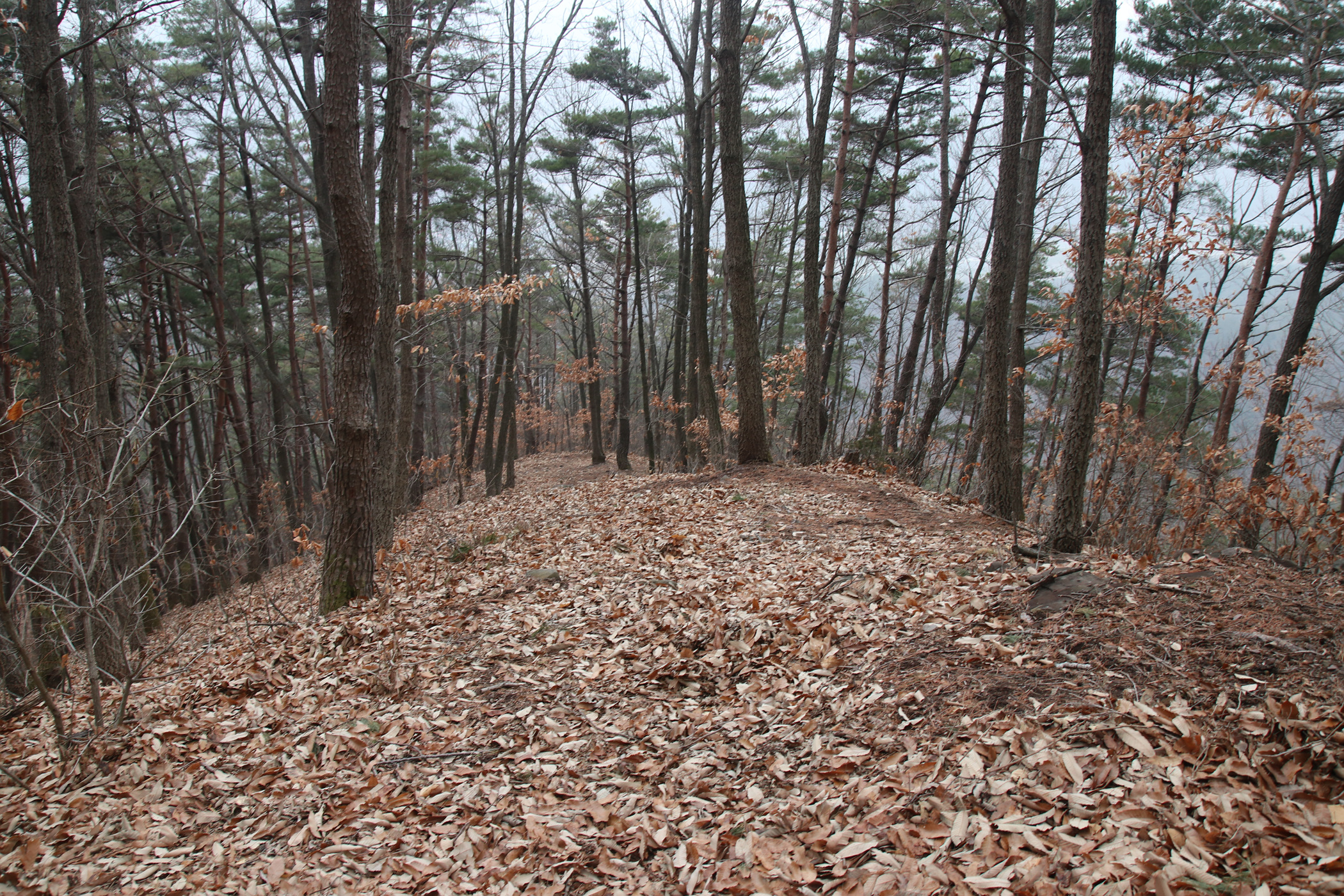 경남 의령군 국사봉 05 40