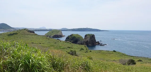 제주 금고리조트 사우나 체크인 리뷰 가격 아쿠아나 바베큐 완벽 정보_1