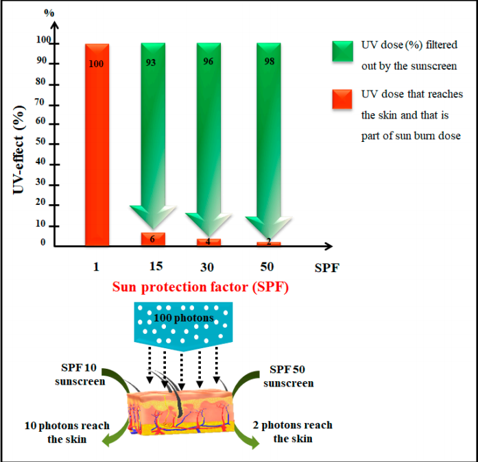 SUN PROTECTION FACTOR