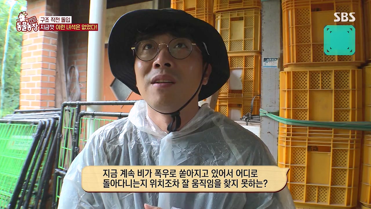 TV 동물농장.E1138.230918p-NEXT.mp4_20230917_174249.982.jpg