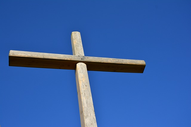 요한일서 3장