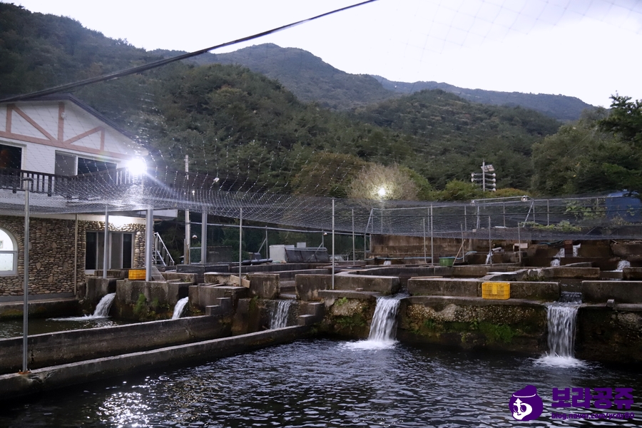 토옥동 송어횟집~ 무주 덕유산! 13