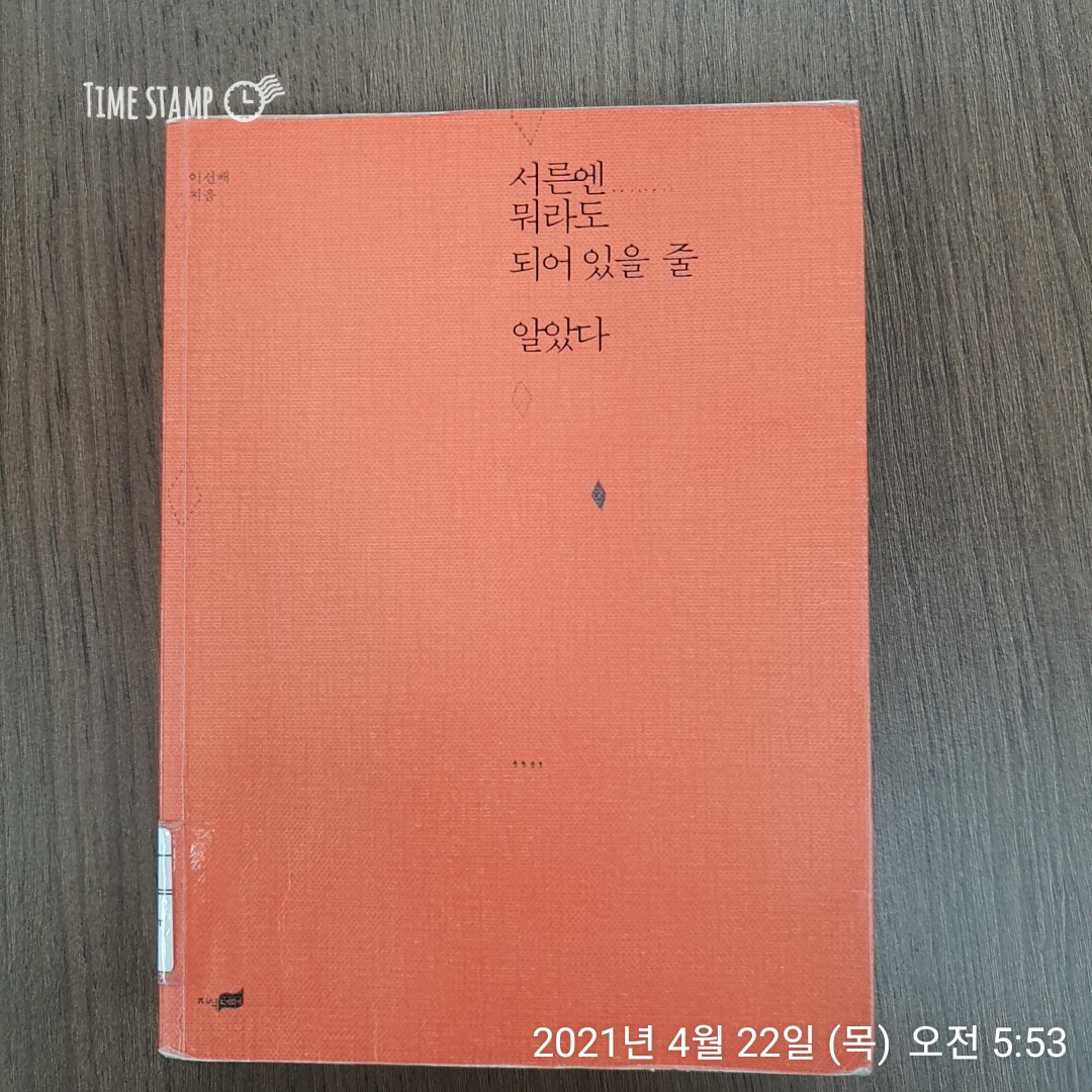  서른엔 뭐라도 되어 있을 줄 알았다, 꿈