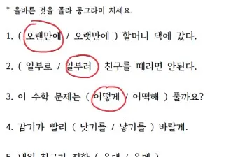 하던대로와 하던데로 구분법과 하는데로 하는대로 올바른 사용법_17