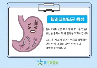 헬리코박터균 제균 치료 치료방법 성공률_7