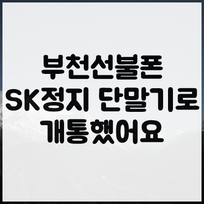  부천선불폰 SK정지 단말기로 개통했어요