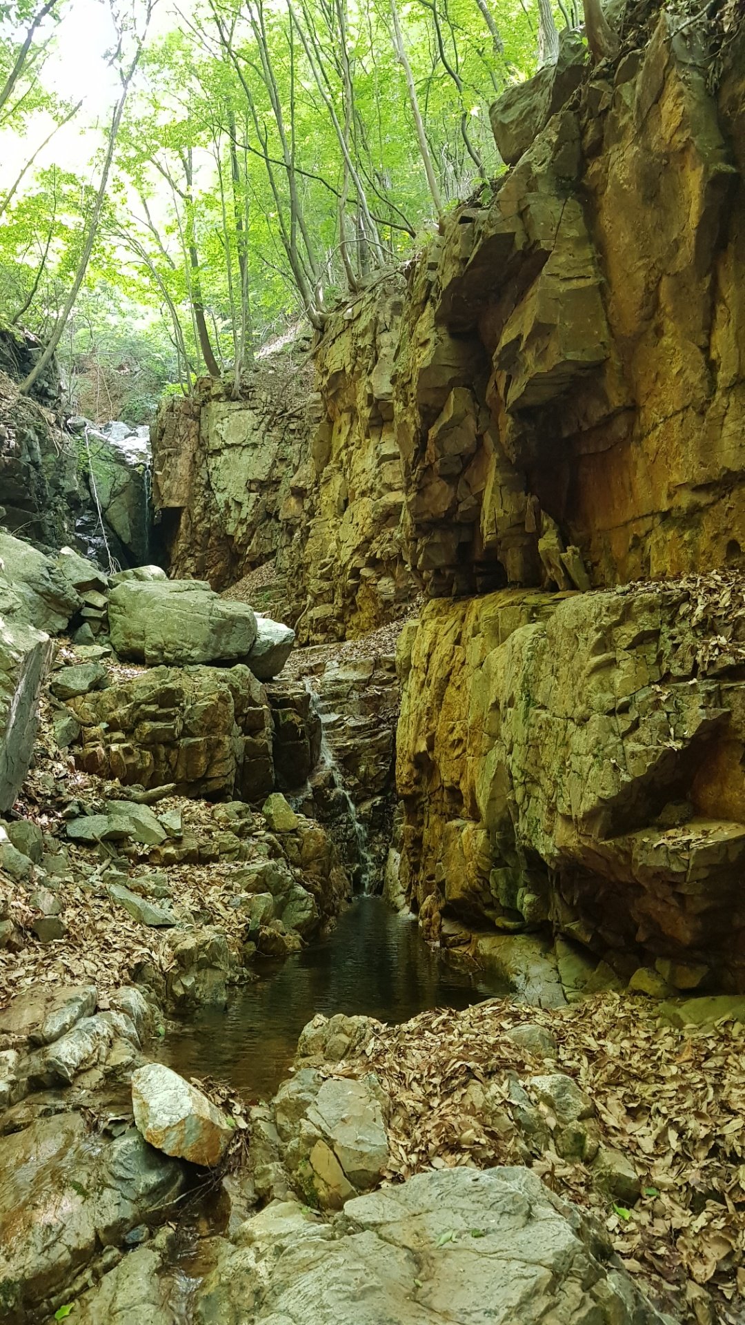 울산 고헌산 대통골 이끼폭포