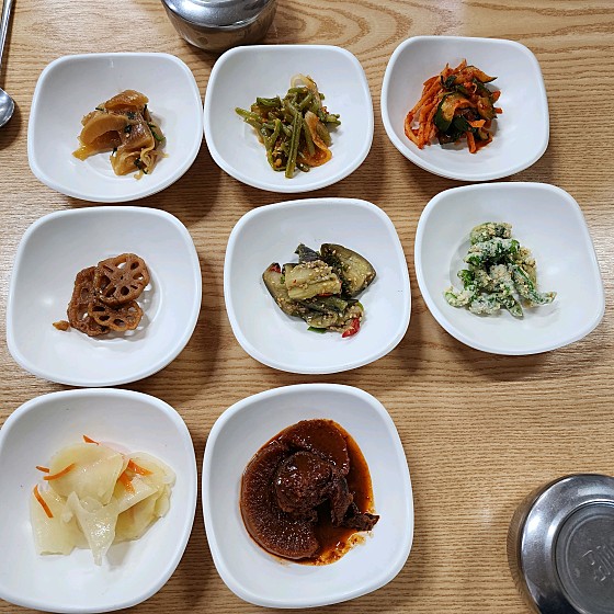 송의주 할매의 손두부 오늘N 울산 욕쟁이 할매집