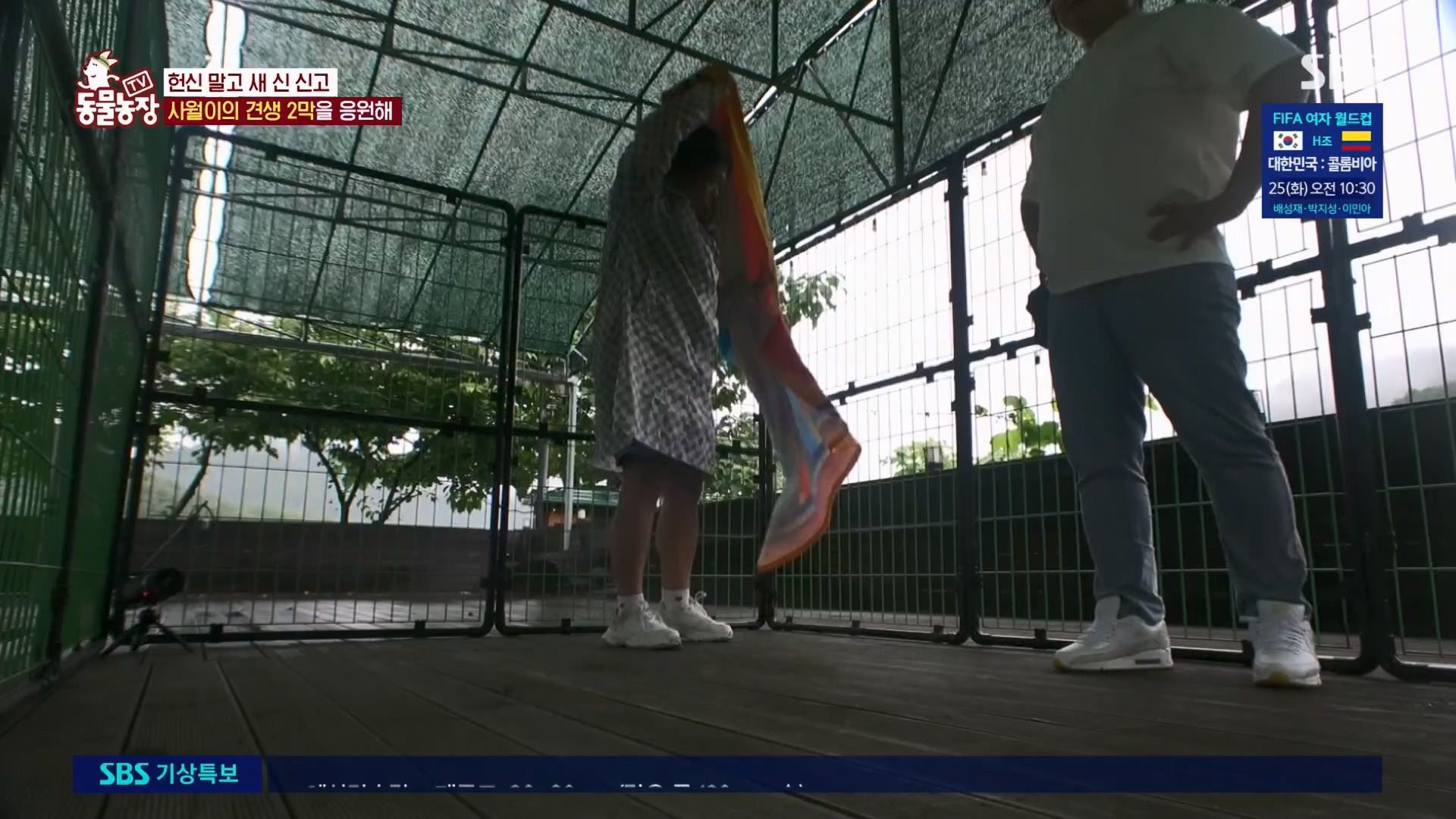 TV 동물농장.E1130.230723p.H264-F1RST.mp4_20230723_171224.612.jpg