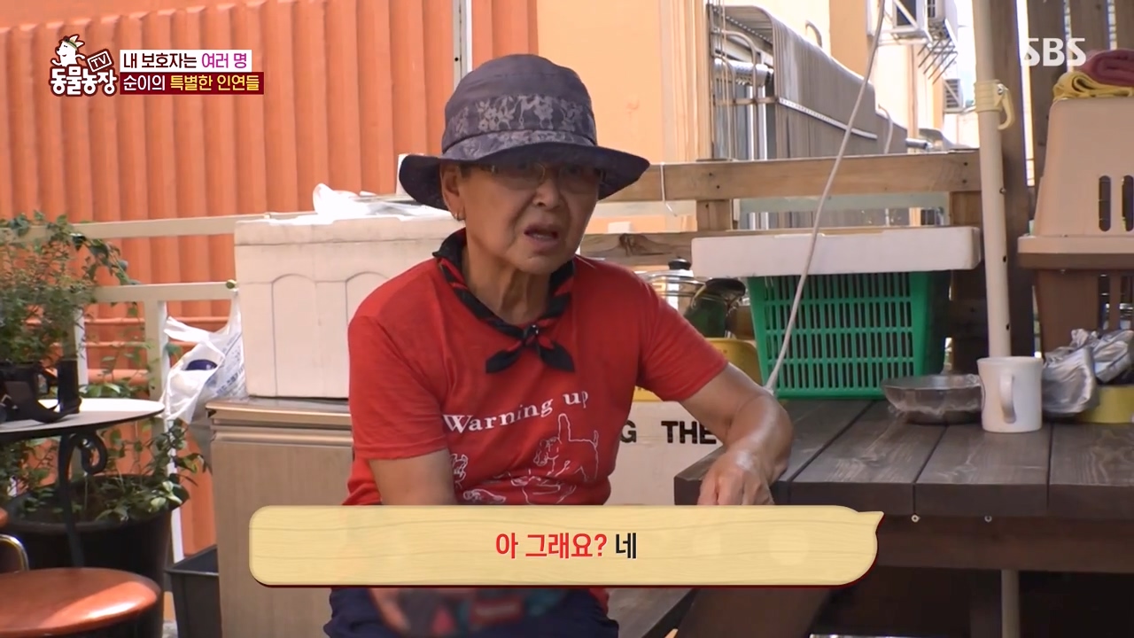 TV 동물농장.E1143.231030p-NEXT.mp4_20231029_162344.398.jpg