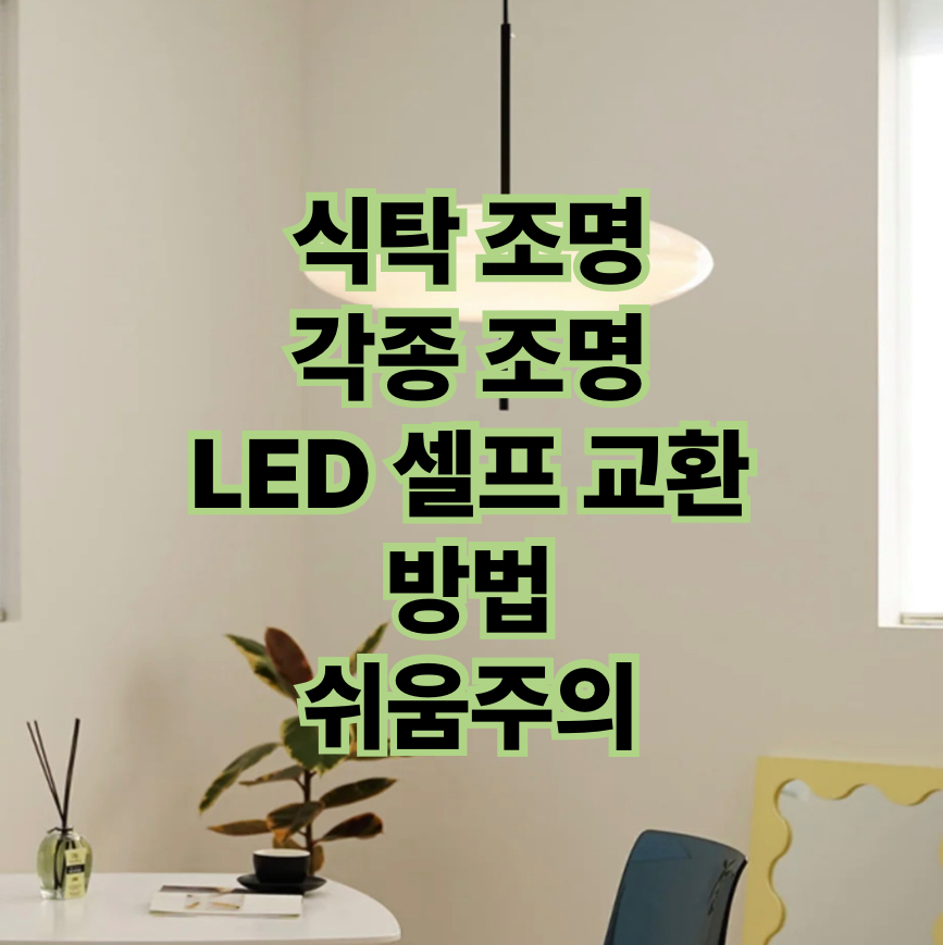 제목